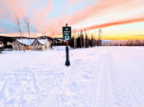 World Adventure at Aspen Crest